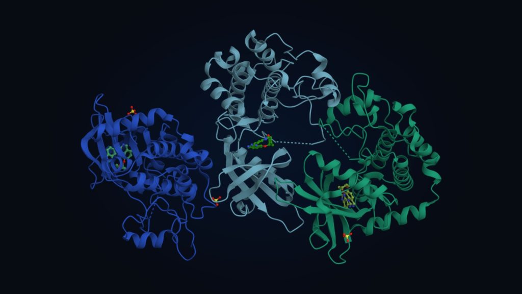 Modelo tridimensional de una proteína con sus tres cadenas en azul, gris y verde sobre fondo oscuro