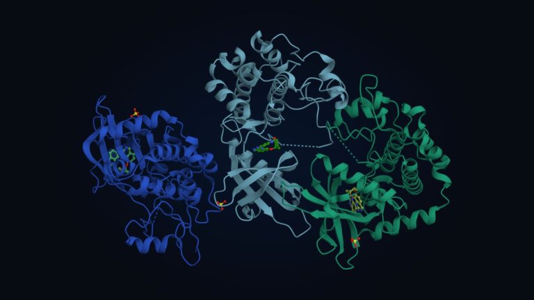 Modelo tridimensional de una proteína con sus tres cadenas en azul, gris y verde sobre fondo oscuro